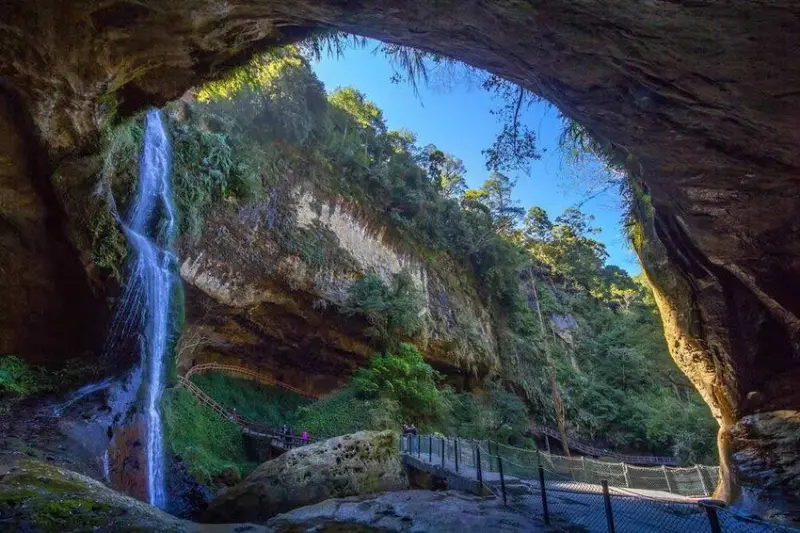 【南投杉林溪住宿】Top5杉林溪飯店推薦，賞花避暑首選！