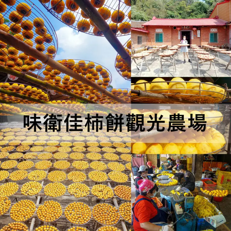 味衛佳柿餅觀光農場。教育農場。每年秋冬限定美景。陽光下橘光閃爍的小星星