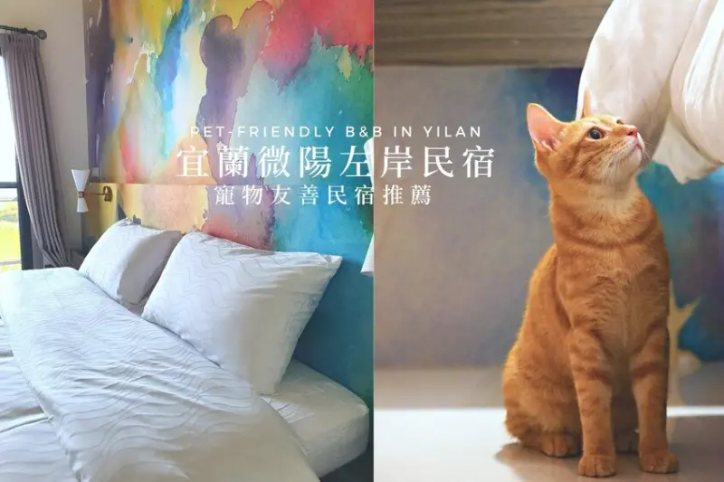 【微陽左岸】美麗溪畔旁的宜蘭寵物民宿 帶貓咪一起旅遊！(有電梯、可包棟)