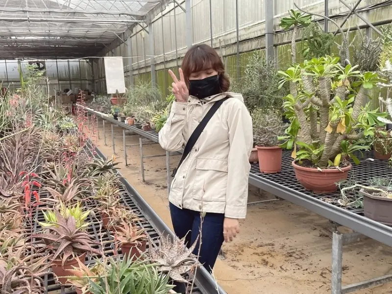 福祥仙人掌多肉園區｜新竹景點 🏵 下雨也能去 刷我一排相片拍 🏵