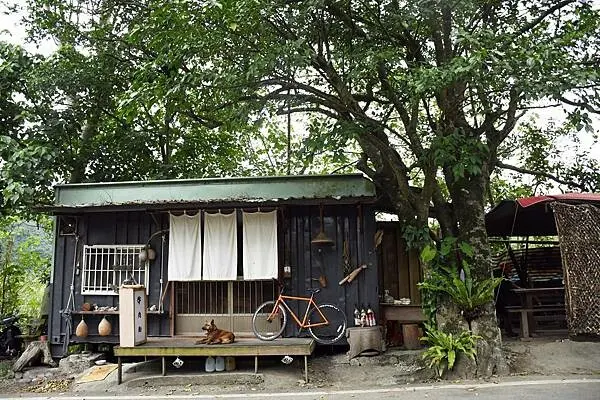 台東隱藏版牛肉麵【龍過脈貨櫃牛肉麵】隱藏在山林間的美味飄香～能不能吃的到還得看人品！※台東在地美食