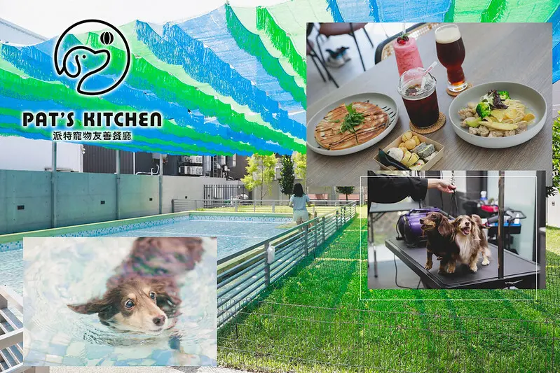 【南屯區/公益路】游泳、美容、吃飯三個願望一次滿足，就在台中PATSKITCHEN派特寵物友善餐廳！