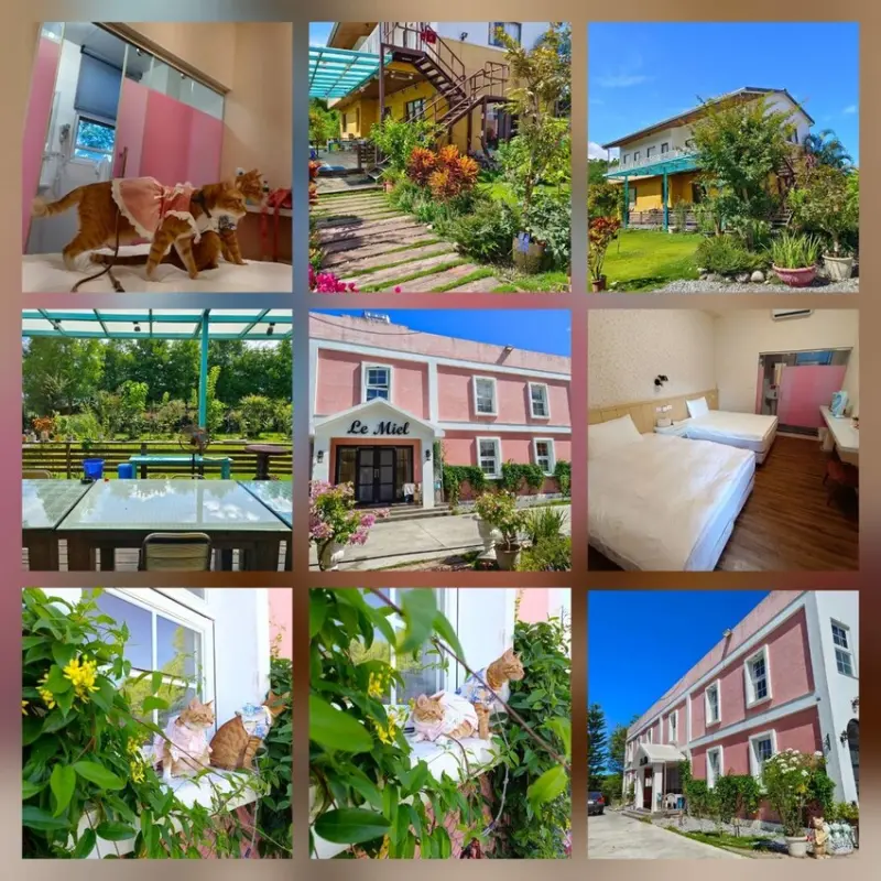 【花蓮.壽豐】蕾蜜兒花園民宿。寵物友善住宿一隻清潔費$100超佛心+近東華大學