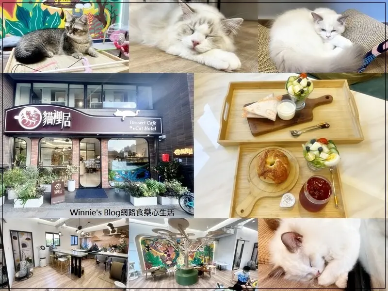 ★新北．吃喝玩樂★貓裡居Dessert Cafe&Cat Hotel~林口貓咪咖啡館下午茶/貓咪旅館/蛋糕甜點輕食/菜單/近林口高中林口運動公園