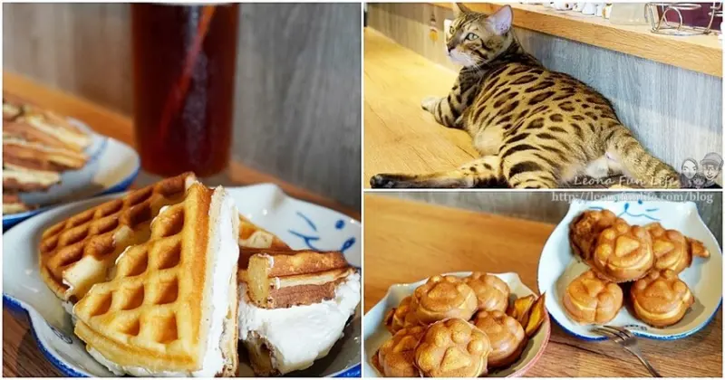 台中北屯巷弄中超可愛貓掌貴雞蛋糕，還有剝皮辣椒鬆餅、炸物，和萌貓一起喝下午茶吧!!|嘉蜜爾鬆餅