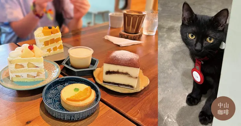 中山咖啡店｜Mori mori cafe 森咖啡 寵物友善 魔女宅急便店貓超可愛