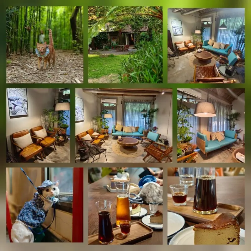 【台北.金山】微微山房森林系咖啡廳。寵物超級友善。14人即可包場獨享陽光午後的美好古宅