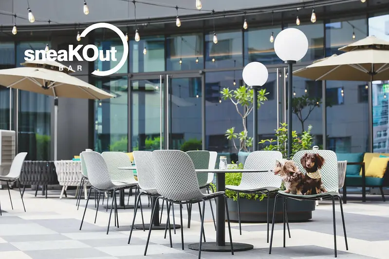 【中山區/大直商圈】居然是寵物友善的超遼闊、超愜意的戶外露台酒吧 SneaKOut BAR (含毛孩午茶派對分享) (圖多)