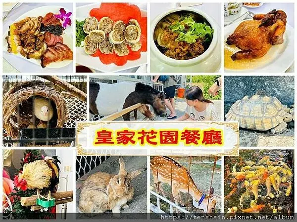 【宜蘭礁溪美食】《皇家花園餐廳》粵式脆皮烤雞，風味獨特；公雞店長、網美迷你馬小愛與你共餐│動物親子餐廳首選，旅遊、美食、伴手禮，一站滿足！│