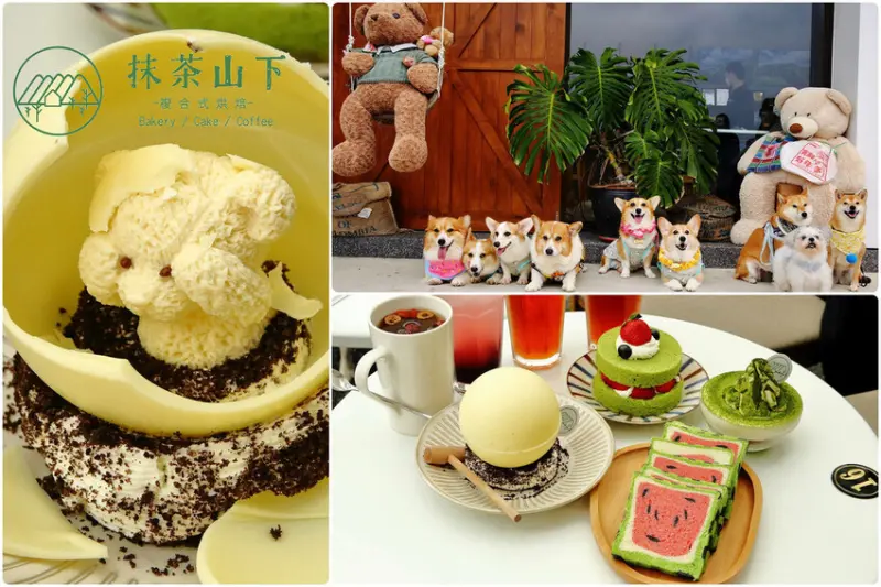 抹茶控激推這間「抹茶甜點」必吃！手作甜點、超萌熊熊咖啡冰塊、超級寵物友善咖啡廳