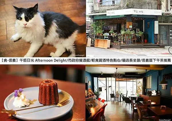 【食￭信義】午后日光 Afternoon Delight/市政府餐酒館/輕食調酒特色點心/貓店長坐鎮/信義區下午茶推薦