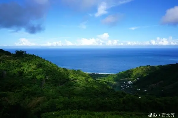 台東十大必去咖啡店│海景咖啡│甜蜜蜜黃金果園│免門票│無低消