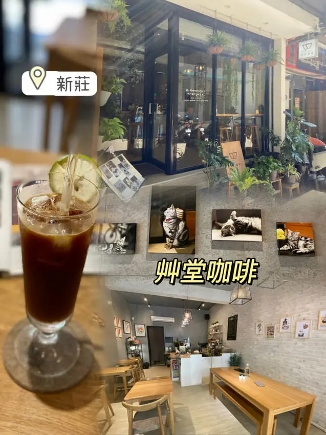 新莊巷弄咖啡館推薦 艸堂咖啡 寧靜自在的美好時光