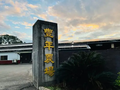 【豐年靈芝菇類生態農場】 ｜現採新鮮菇火鍋｜麻油菇調理包｜香菇太空包｜經濟部餐飲補助計畫｜限時限量優