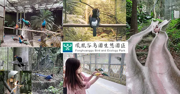 【南投景點】國立自然科學博物館鳳凰谷鳥園生態園區，欣賞各種鳥類、森林步道充滿芬多精也是登山健行的好地方，與五顏六色模樣可愛的小鸚鵡來場餵食趣。南投親子旅遊景點