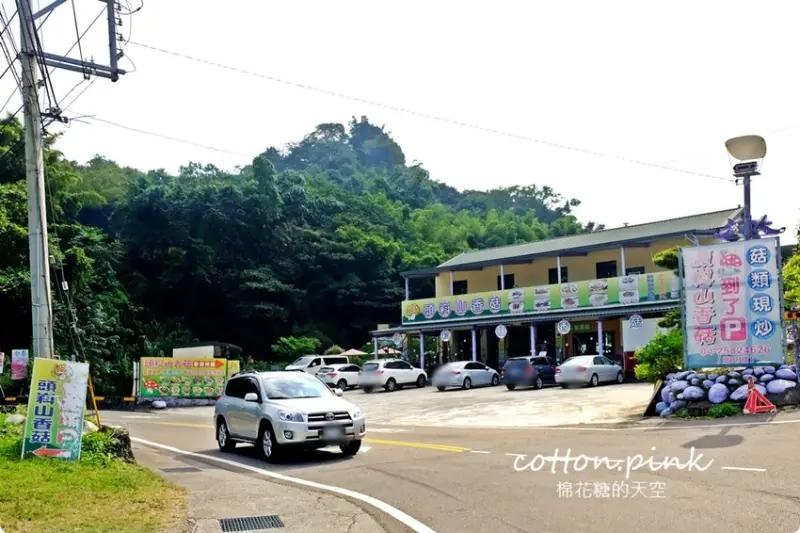 台中新社必吃推薦-頭嵙山香菇，菜單滿滿菇料理！熱炒美食也大推！ - 棉花糖的天空
