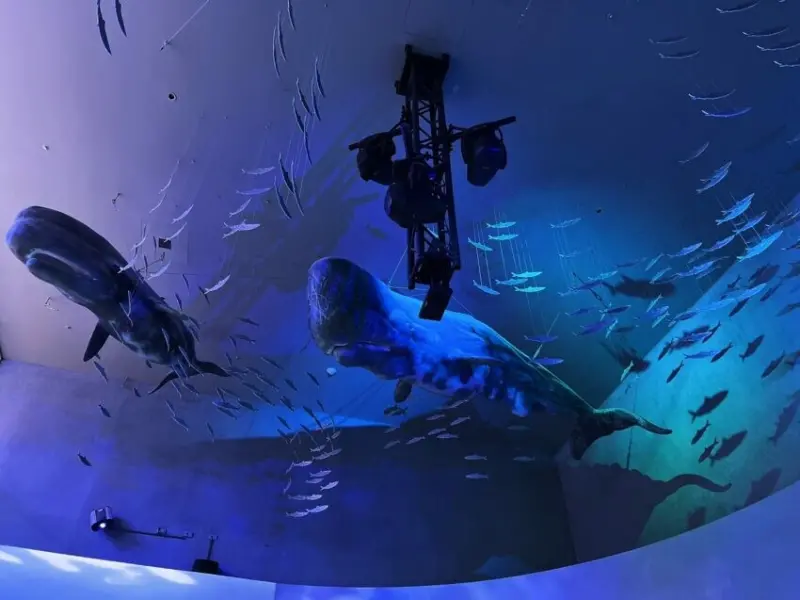 【基隆】潮境智能海洋館最新資訊，超大水族缸合照魟魚、水母！