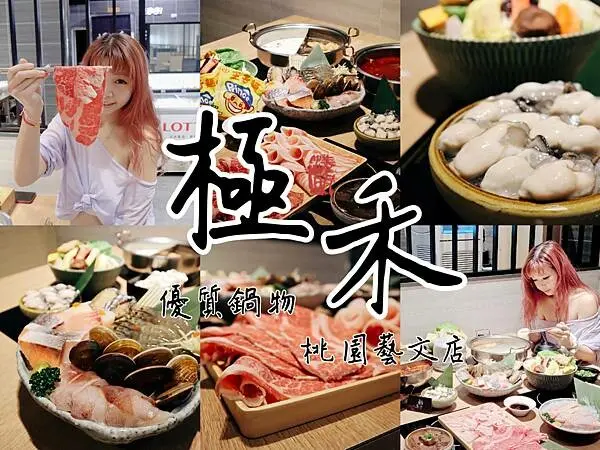 桃園 食記 極禾優質鍋物桃園藝文店 藝文區吃的安心實在又飽足的高品質網美火鍋店,