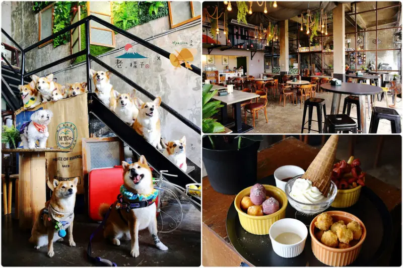 大園人氣咖啡廳-季風沙丘，老。樣子三店，鄰近草漯沙丘地質公園，廢墟風超好拍氣氛百分百