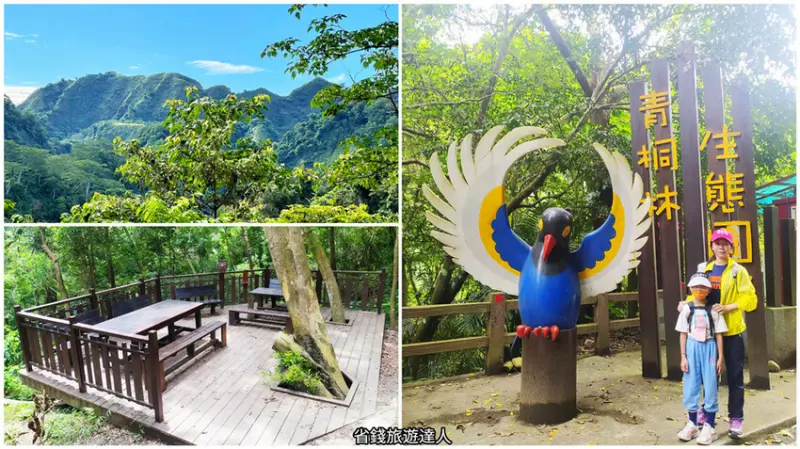 青桐林生態園區｜簡單好走的霧峰親子步道