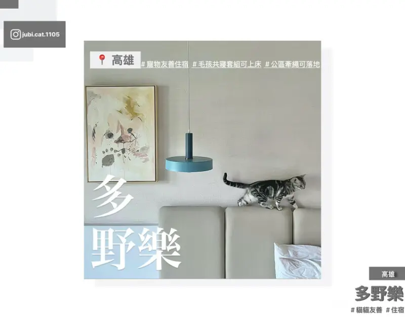 【多野樂旅館Dogether Hotel】｜高雄｜貓貓友善｜寵物友善住宿｜寵物友善民宿｜寵物友善住宿天花板