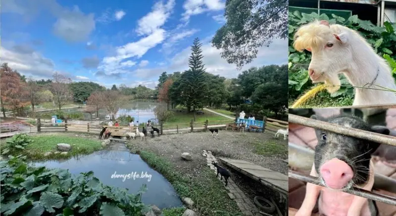宜農牧場 │宜蘭景點•多種可愛動物互動&品嚐美味羊奶製品
