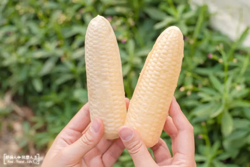 古早味玉米冰｜好吃又很特別的造型，一不注意就會錯過的美食～