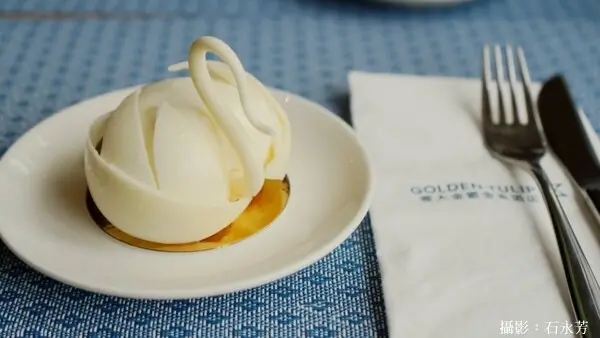 台中港梧棲住宿首家國際品牌震大金鬱金香酒店，試營運期間好康多多。