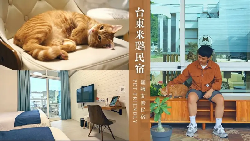 台東寵物民宿推薦｜米璐民宿｜火車站10分鐘 寵物友善民宿(可包棟)