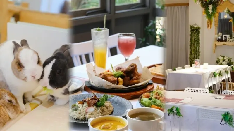 【綠萼159地中海南法料理】台中北屯歐風餐廳