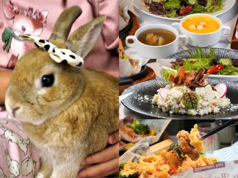 台中美食｜綠萼159地中海南法料理 2023來這吃美食摸摸可愛開運兔兔 不用出國也能吃到南法經典美食