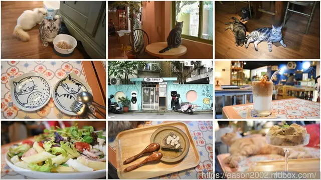 永和 囧貓苑子｜貓咖啡廳 自在舒適的與喵星人一同享受療癒的午茶時光，完成你不能養寵物的願望