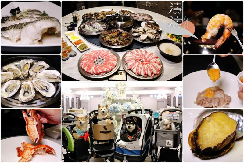 新莊美食推薦，新莊典華濤濤海鮮蒸氣鍋，新鮮海鮮、現蒸現吃，CP值超高的蒸氣鍋物，痛風也要吃！