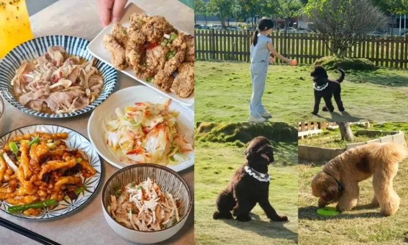 野沐私房菜｜新開幕・吃得到現炒臺菜料理的寵物餐廳，百坪大草皮+寵物餐讓毛孩蹦跳放風！ - 肉依小姐吃什麼