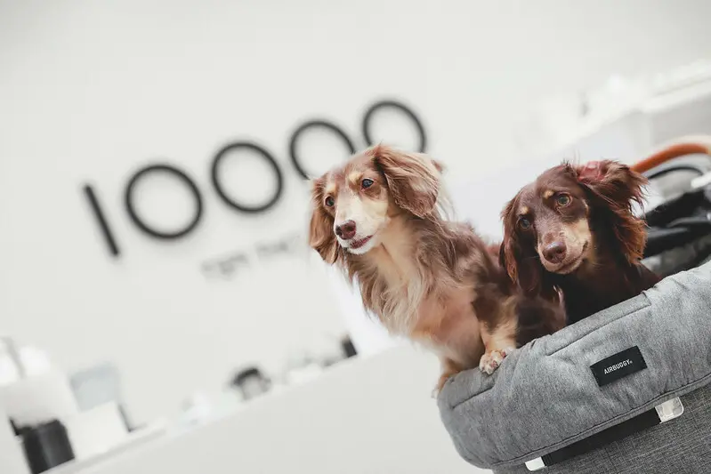 【信義區/微風南山】紐約必喝精品咖啡 Ten Thousand Coffee台灣一號店插旗微風南山艾妥列