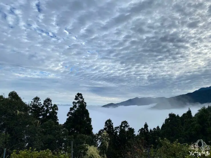 蟬說：霧繞｜雲霧朦朧宛如人間仙境｜杉樹林大口吸收芬多精
