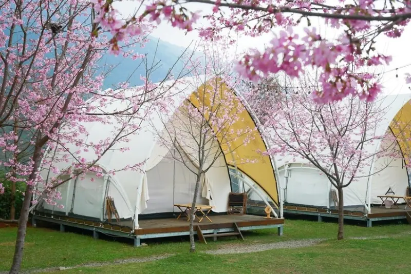 【蟬說：霧繞】新竹五峰鄉白蘭部落,夢幻豪華露營區,一泊二食,內文優惠碼