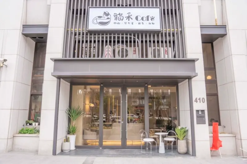 新竹美食 貓禾咖啡｜貓奴們嗨翻！貓禾咖啡插旗竹北，超人氣寵物友善咖啡廳