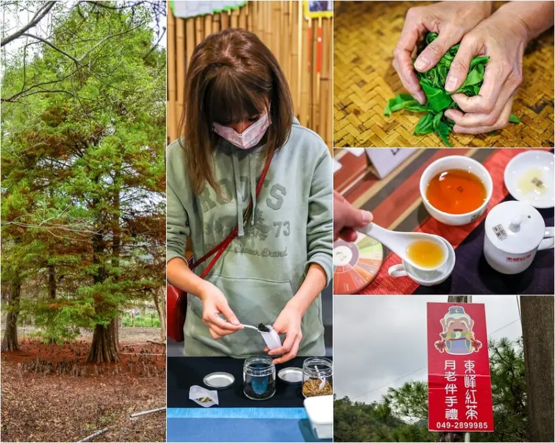 日月潭東峰紅茶廠