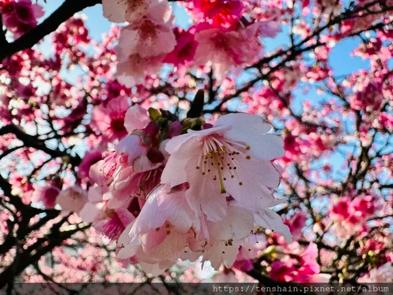 [內湖美食]創義麵-東湖店 │ 東湖樂活公園周邊稀有的網美義大利麵餐廳，裝潢美氣氛佳，但餐點值得推薦嗎？看文便知！