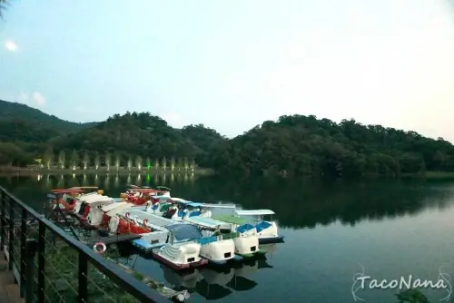苗栗湖岸美景餐廳》映象水岸，峇里島風格特色咖啡店，坐擁湖景第一排欣賞西湖風光，還能搭乘天鵝船優游西湖