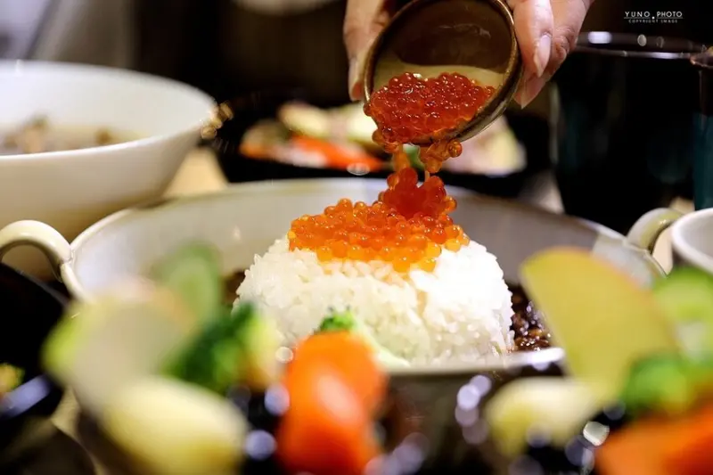 海鮮控出列！北海道醬漬鮭魚卵滷肉飯 讓你口中爆出大海鮮味｜食雞成熟異國饗宴(嘉義車站美食)