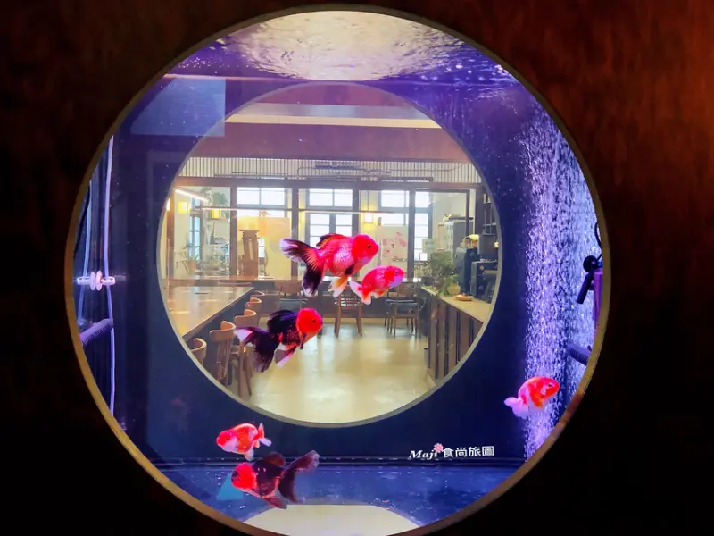 玉虫畫室 隱藏巷弄中結合畫室的南港日系文青咖啡館  奇幻視覺感的金魚造景絕不能錯過的療癒打卡點