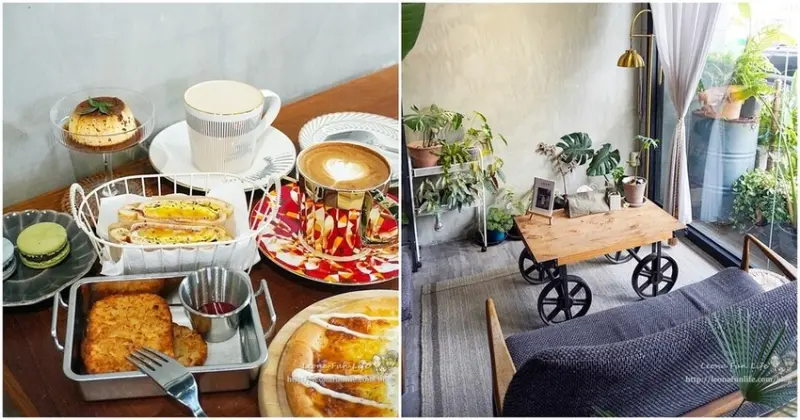 日染樹梢|台中霧峰鹿角蕨觀葉植物森林系咖啡廳，近光復新村、亞州大學周邊美食