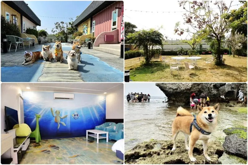 小琉球必住！【你我的相遇】住過必定再回訪！有溫度的寵物友善民宿，像家一般的輕鬆自在溫暖〜