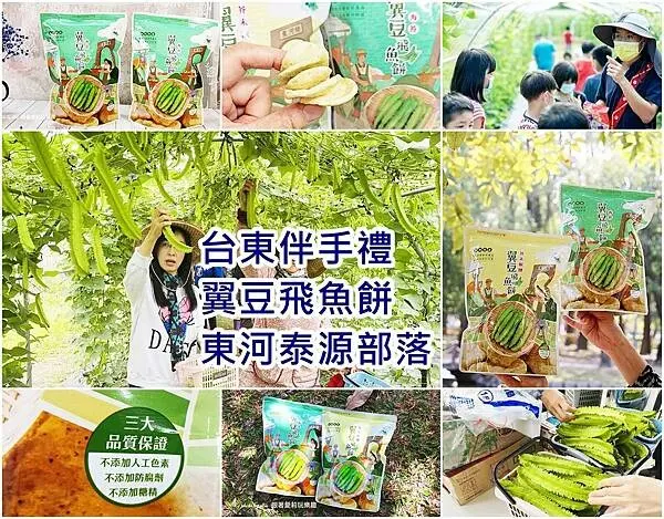 【台東 伴手禮】東河泰源部落 翼豆飛魚餅 ｜台東必買伴手禮 ｜SALAMA有機農場 部落遊程 ｜烏龍院家庭食堂