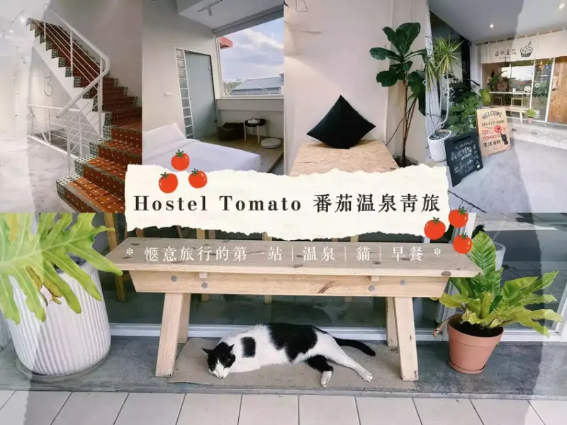 2023礁溪住宿CP首選 | 番茄溫泉青旅 Hostel Tomato |愜意旅行的第一站，一切都如此的剛剛好，精緻早餐、文青風格、有貓、有溫泉