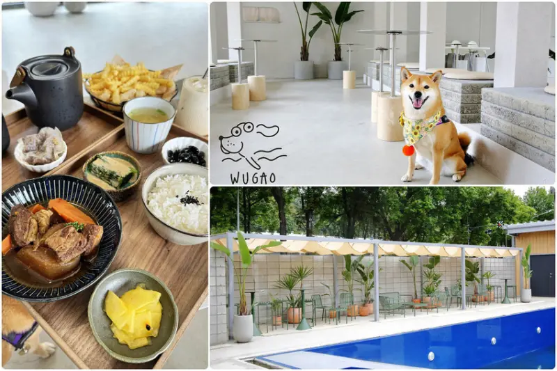 全新開幕！！竹北竟然有寵物泳池餐廳，根本是毛孩子的天堂，「寵物專屬游泳池」推薦，毛孩夏日消暑玩水趣！