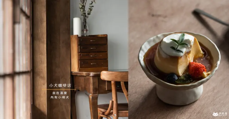 小犬咖啡店｜自在溫度。內有小萌犬｜台中咖啡廳推薦｜東區老屋甜點 - 小米食