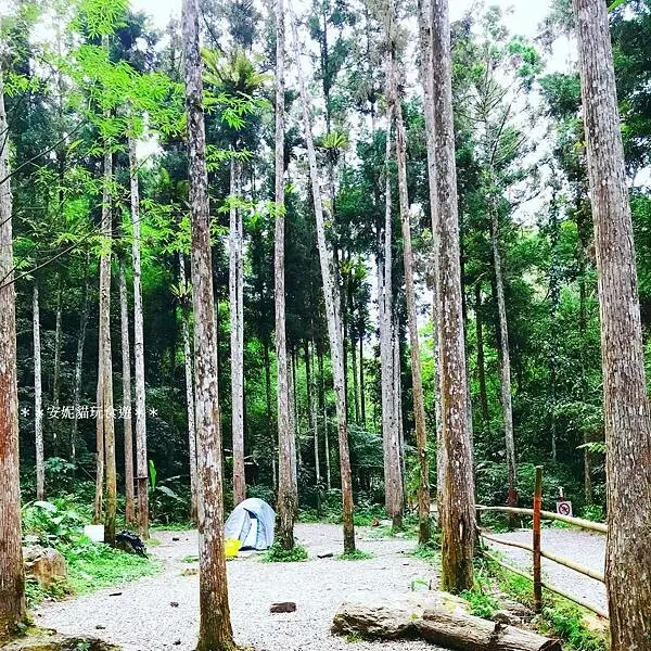 【新北。烏來】(第131露)原始之力．福山何方神聖慢活營露營區